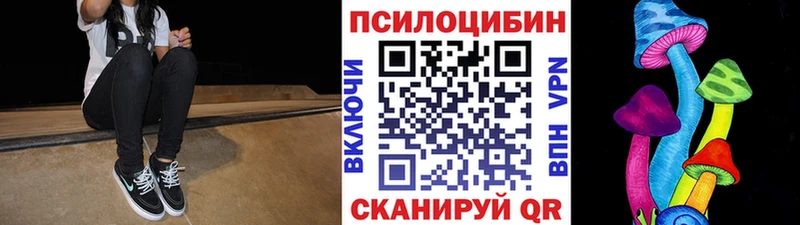 Псилоцибиновые грибы Psilocybe Десногорск